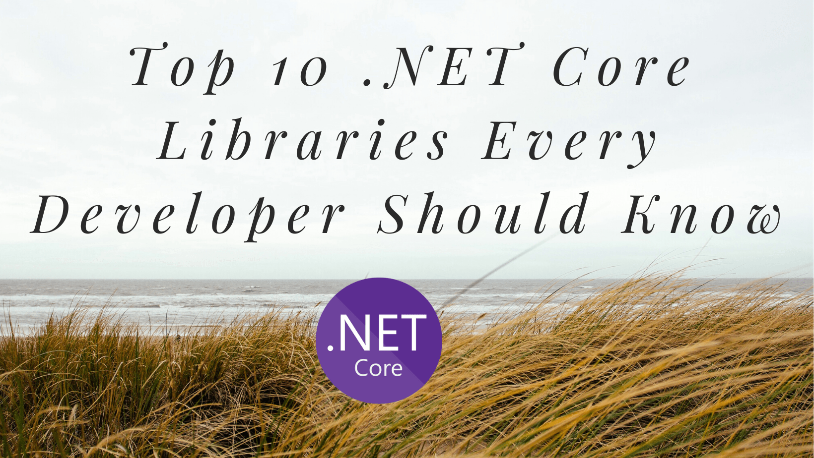 Top 10 .NET Core Libraries Every Developer Should Know 🔥 cover image